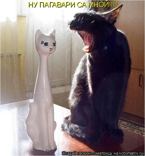 НУ ПАГАВАРИ СА МНОЙ!!!!... Котоматрица: НУ ПАГАВАРИ СА МНОЙ!!!!