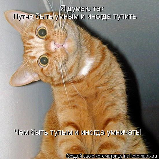 Я думаю так Лутче быть умным и иногда тупить Чем быть тупым и иногда умничать!... Котоматрица: Я думаю так Лутче быть умным и иногда тупить Чем быть тупым и иногда умничать!
