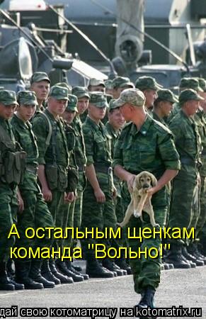 А остальным щенкам команда "Вольно!"... Котоматрица: А остальным щенкам команда "Вольно!"