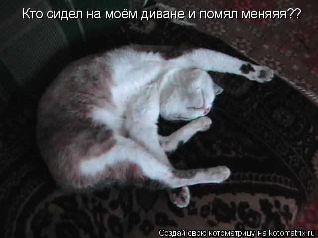 Кто сидел на моём диване и помял меняяя??... Котоматрица: Кто сидел на моём диване и помял меняяя??