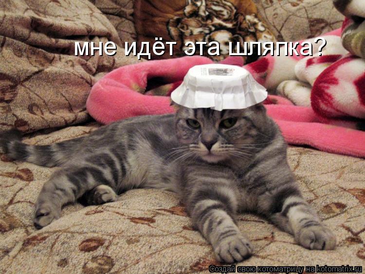 мне идёт эта шляпка?... Котоматрица: мне идёт эта шляпка?