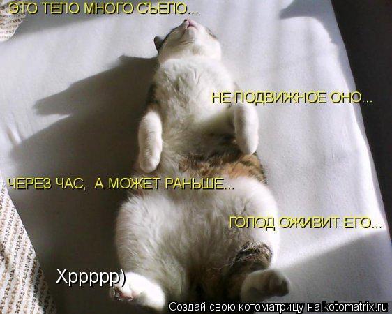 Хррррр)... Котоматрица: Хррррр)