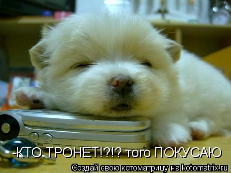 -КТО ТРОНЕТ!?!? того ПОКУСАЮ... Котоматрица: -КТО ТРОНЕТ!?!? того ПОКУСАЮ