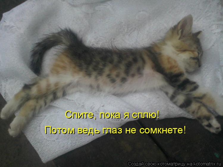 Спите, пока я сплю! Потом ведь глаз не сомкнете!... Котоматрица: Спите, пока я сплю! Потом ведь глаз не сомкнете!