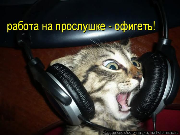 работа на прослушке - офигеть!... Котоматрица: работа на прослушке - офигеть!