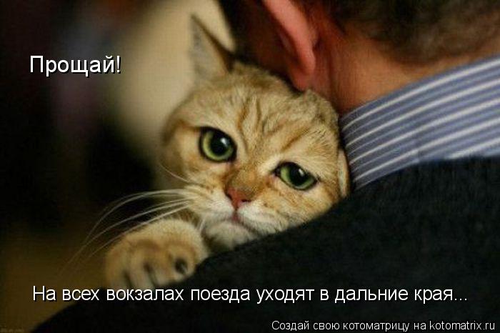 Прощай! На всех вокзалах поезда уходят в дальние края...... Котоматрица: Прощай! На всех вокзалах поезда уходят в дальние края...