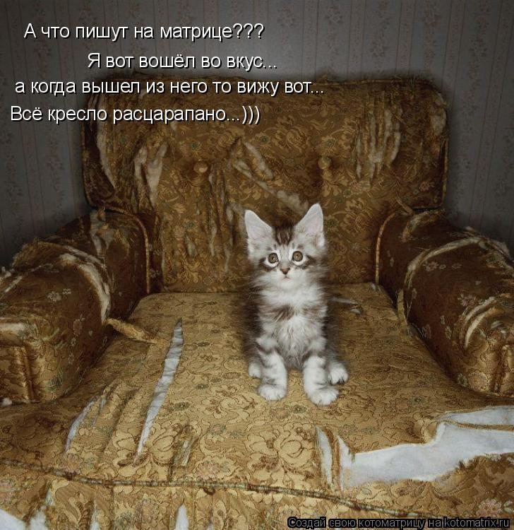 А что пишут на матрице??? Я вот вошёл во вкус... а когда вышел из него то вижу вот... Всё кресло расц... Котоматрица: А что пишут на матрице??? Я вот вошёл во вкус... а когда вышел из него то вижу вот... Всё кресло расцарапано...)))