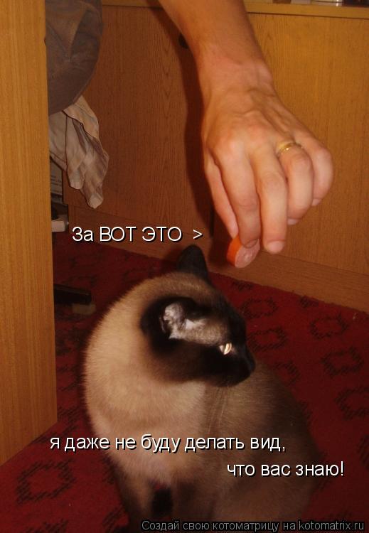 За ВОТ ЭТО > я даже не буду делать вид, что вас знаю!... Котоматрица: За ВОТ ЭТО > я даже не буду делать вид, что вас знаю!