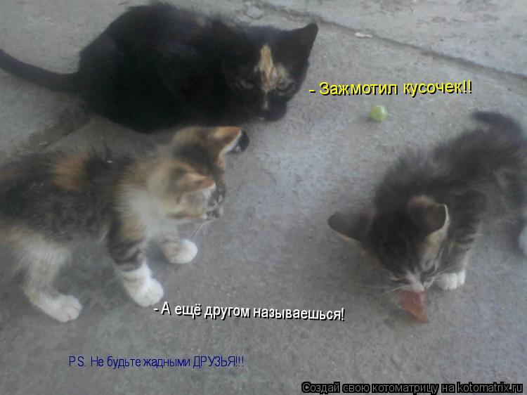 - Зажмотил кусочек!! - А ещё другом называешься! P.S. Не будьте жадными ДРУЗЬЯ!!! P.S. Не будьте жадн... Котоматрица: - Зажмотил кусочек!! - А ещё другом называешься! P.S. Не будьте жадными ДРУЗЬЯ!!! P.S. Не будьте жадными ДРУЗЬЯ!!!