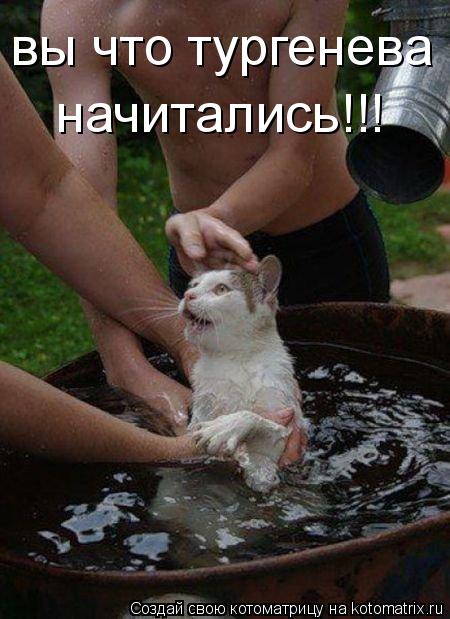вы что тургенева начитались!!!... Котоматрица: вы что тургенева начитались!!!