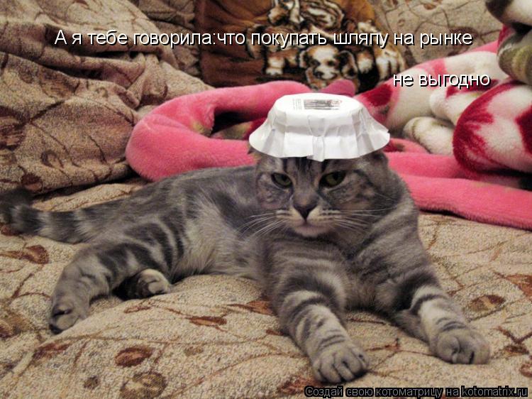 А я тебе говорила:что покупать шляпу на рынке не выгодно... Котоматрица: А я тебе говорила:что покупать шляпу на рынке не выгодно