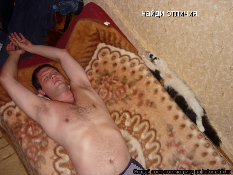 найди отличия... Котоматрица: найди отличия