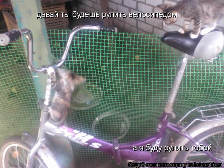 давай ты будешь рулить велосипедом а я буду рулить тобой... Котоматрица: давай ты будешь рулить велосипедом а я буду рулить тобой