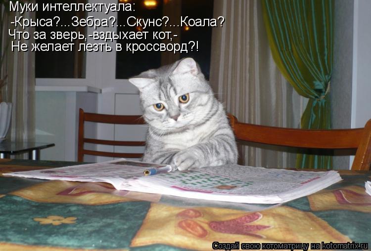 -Крыса?...Зебра?...Скунс?...Коала? Муки интеллектуала: Что за зверь,-вздыхает кот,- Не желает лезть в... Котоматрица: -Крыса?...Зебра?...Скунс?...Коала? Муки интеллектуала: Что за зверь,-вздыхает кот,- Не желает лезть в кроссворд?!