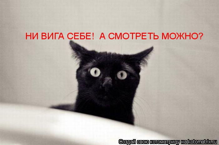 НИ ВИГА СЕБЕ! А СМОТРЕТЬ МОЖНО?... Котоматрица: НИ ВИГА СЕБЕ! А СМОТРЕТЬ МОЖНО?
