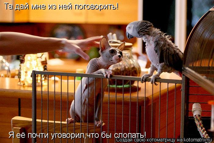 Та дай мне из ней поговорить! Я её почти уговорил,что бы слопать!... Котоматрица: Та дай мне из ней поговорить! Я её почти уговорил,что бы слопать!