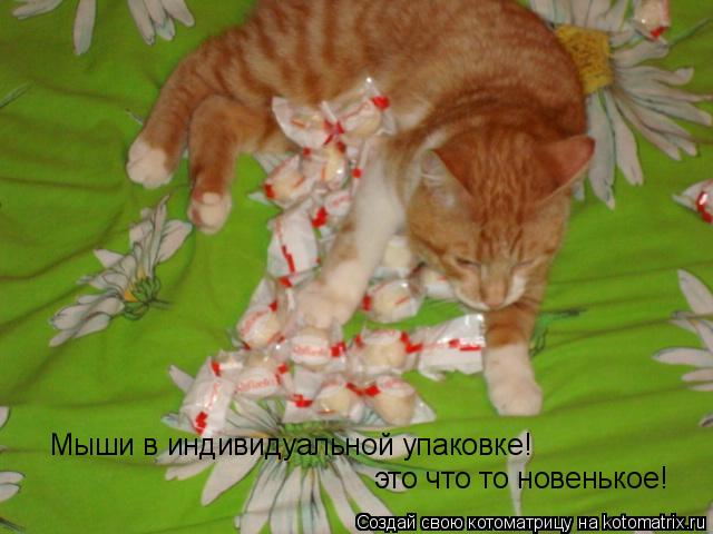 Мыши в индивидуальной упаковке! это что то новенькое!... Котоматрица: Мыши в индивидуальной упаковке! это что то новенькое!