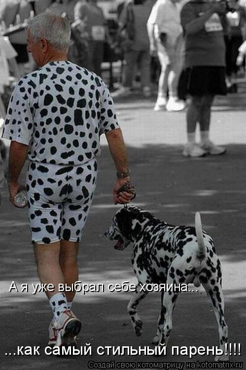 А я уже выбрал себе хозяина... ...как самый стильный парень!!!!... Котоматрица: А я уже выбрал себе хозяина... ...как самый стильный парень!!!!