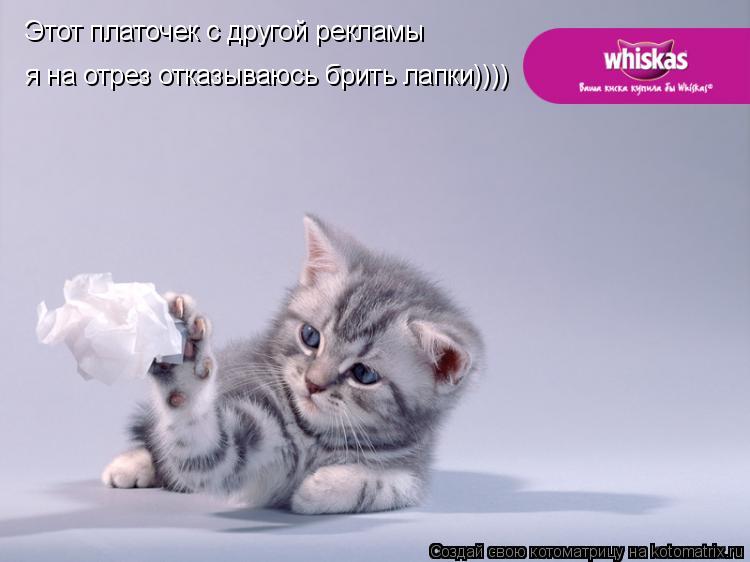 Этот платочек с другой рекламы я на отрез отказываюсь брить лапки))))... Котоматрица: Этот платочек с другой рекламы я на отрез отказываюсь брить лапки))))