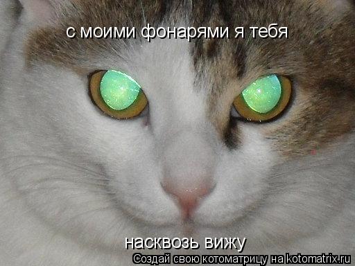 с моими фонарями я тебя насквозь вижу... Котоматрица: с моими фонарями я тебя насквозь вижу