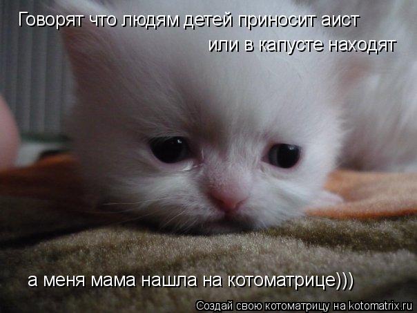 Говорят что людям детей приносит аист или в капусте находят а меня мама нашла на котоматрице)))... Котоматрица: Говорят что людям детей приносит аист или в капусте находят а меня мама нашла на котоматрице)))