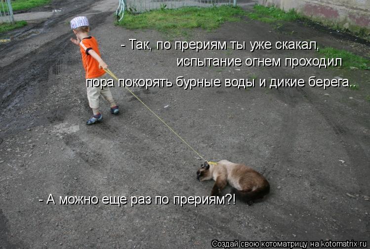 Котоматрица: - Так, по прериям ты уже скакал, испытание огнем проходил пора покорять бурные воды и дикие берега.. - А можно еще раз по прериям?!