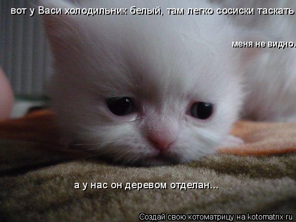 вот у Васи холодильник белый, там легко сосиски таскать а у нас он деревом отделан... меня не видно.... Котоматрица: вот у Васи холодильник белый, там легко сосиски таскать а у нас он деревом отделан... меня не видно.