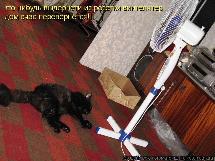 кто нибудь выдернети из розетки винтелятер , дом счас перевернётся!!!... Котоматрица: кто нибудь выдернети из розетки винтелятер , дом счас перевернётся!!!