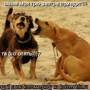 мама моя грю завтра приедит!!! та шо опять)))?... Котоматрица: мама моя грю завтра приедит!!! та шо опять)))?