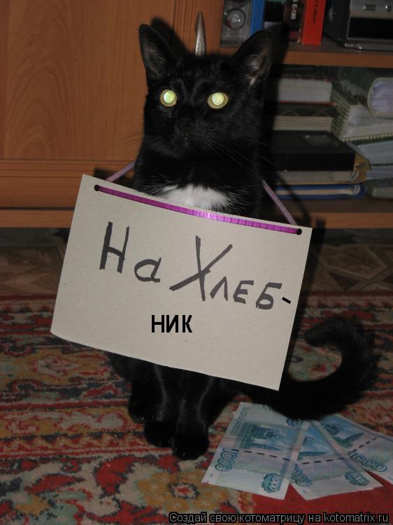 - ник... Котоматрица: - ник