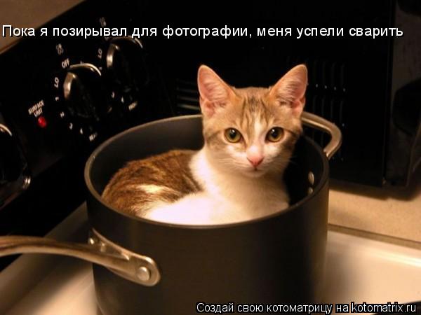 Пока я позирывал для фотографии, меня Пока я позирывал для фотографии, меня успели сварить... Котоматрица: Пока я позирывал для фотографии, меня Пока я позирывал для фотографии, меня успели сварить