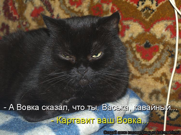 Котоматрица: - А Вовка сказал, что ты, Васька, кавайный... - Картавит ваш Вовка...