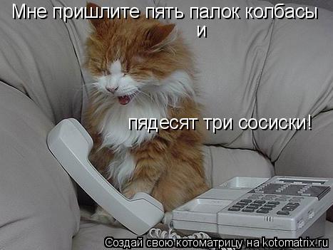 Мне пришлите пять палок колбасы и пядесят три сосиски!... Котоматрица: Мне пришлите пять палок колбасы и пядесят три сосиски!