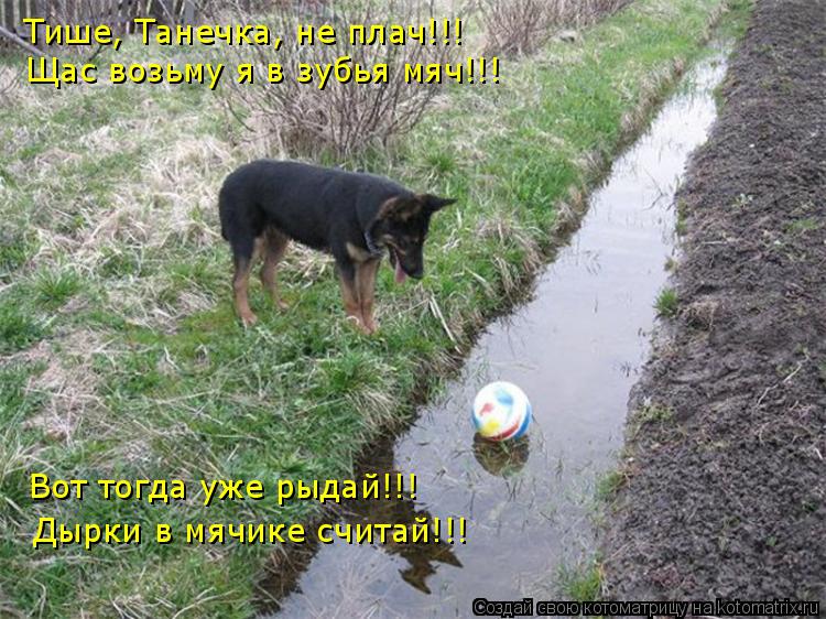 Тише, Танечка, не плач!!! Щас возьму я в зубья мяч!!! Вот тогда уже рыдай!!! Дырки в мячике считай!!!... Котоматрица: Тише, Танечка, не плач!!! Щас возьму я в зубья мяч!!! Вот тогда уже рыдай!!! Дырки в мячике считай!!!