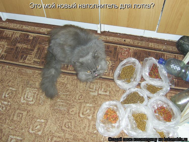 Это мой новый наполнитель для лотка?... Котоматрица: Это мой новый наполнитель для лотка?