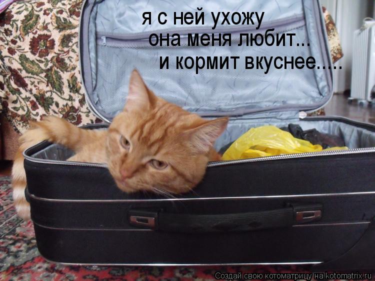 я с ней ухожу она меня любит... и кормит вкуснее........ Котоматрица: я с ней ухожу она меня любит... и кормит вкуснее.....