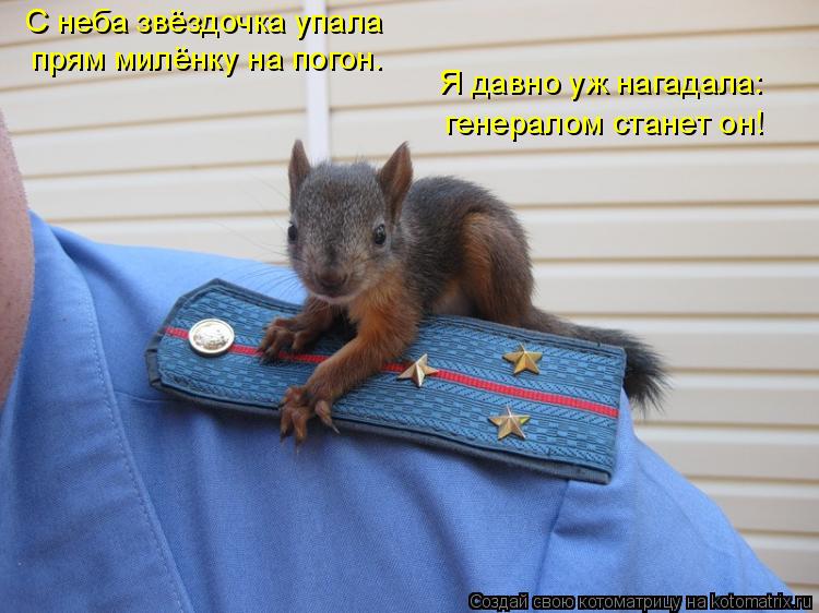 С неба звёздочка упала прям милёнку на погон. Я давно уж нагадала: генералом станет он!... Котоматрица: С неба звёздочка упала прям милёнку на погон. Я давно уж нагадала: генералом станет он!