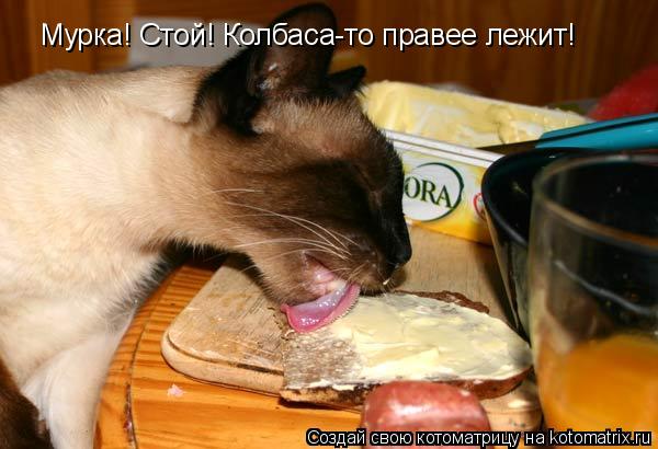 Мурка! Стой! Колбаса-то правее лежит!... Котоматрица: Мурка! Стой! Колбаса-то правее лежит!