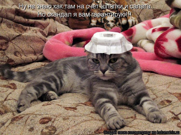 Ну не знаю как там на счёт шляпки и салата... Но скандал я вам гарантирую!!!... Котоматрица: Ну не знаю как там на счёт шляпки и салата... Но скандал я вам гарантирую!!!