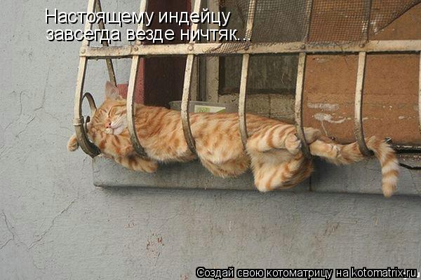 Настоящему индейцу завсегда везде ничтяк...... Котоматрица: Настоящему индейцу завсегда везде ничтяк...