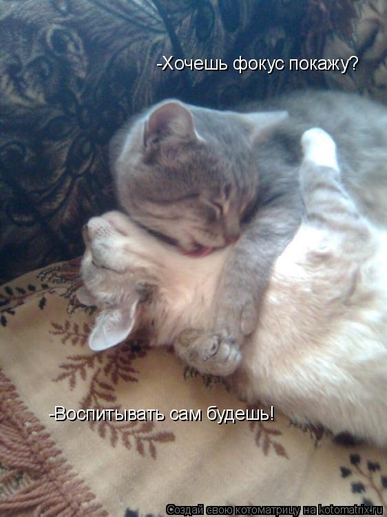 -Хочешь фокус покажу? -Воспитывать сам будешь!... Котоматрица: -Хочешь фокус покажу? -Воспитывать сам будешь!