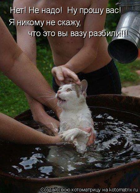 Нет! Не надо! Ну прошу вас! Я никому не скажу, что это вы вазу разбили!!!... Котоматрица: Нет! Не надо! Ну прошу вас! Я никому не скажу, что это вы вазу разбили!!!