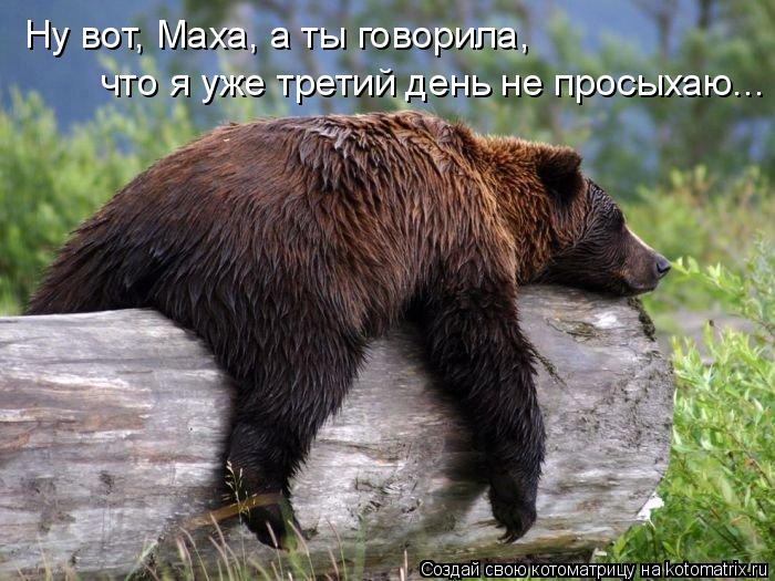 Ну вот, Маха, а ты говорила, что я уже третий день не просыхаю...... Котоматрица: Ну вот, Маха, а ты говорила, что я уже третий день не просыхаю...