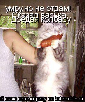 Сказал васька Доедая колбасу... Котоматрица: Сказал васька Доедая колбасу
