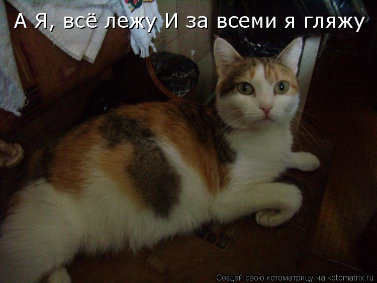 А Я, всё лежу И за всеми я гляжу... Котоматрица: А Я, всё лежу И за всеми я гляжу