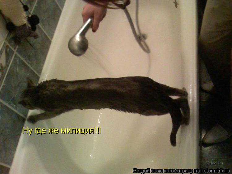Ну где же милиция!!!... Котоматрица: Ну где же милиция!!!