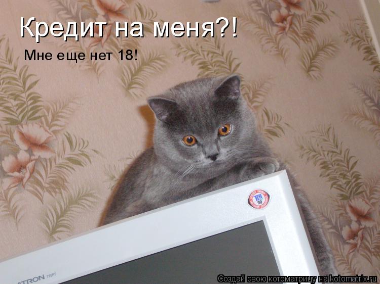 Кредит на меня?! Мне еще нет 18!... Котоматрица: Кредит на меня?! Мне еще нет 18!