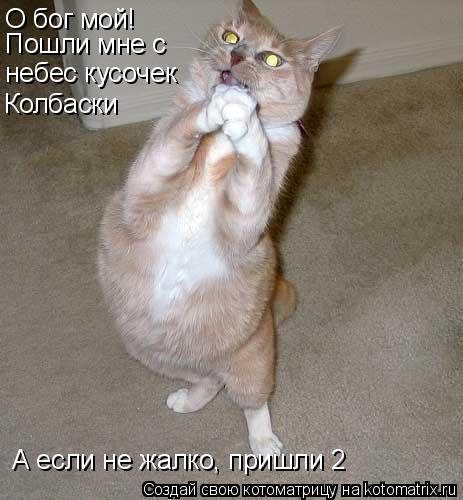 О бог мой! Пошли мне с небес кусочек Колбаски А если не жалко, пришли 2... Котоматрица: О бог мой! Пошли мне с небес кусочек Колбаски А если не жалко, пришли 2
