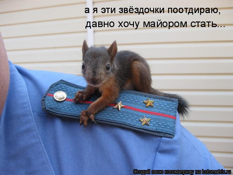 а я эти звёздочки поотдираю, а я эти звёздочки поотдираю, а я эти звёздочки поотдираю, давно хочу май... Котоматрица: а я эти звёздочки поотдираю, а я эти звёздочки поотдираю, а я эти звёздочки поотдираю, давно хочу майором стать...