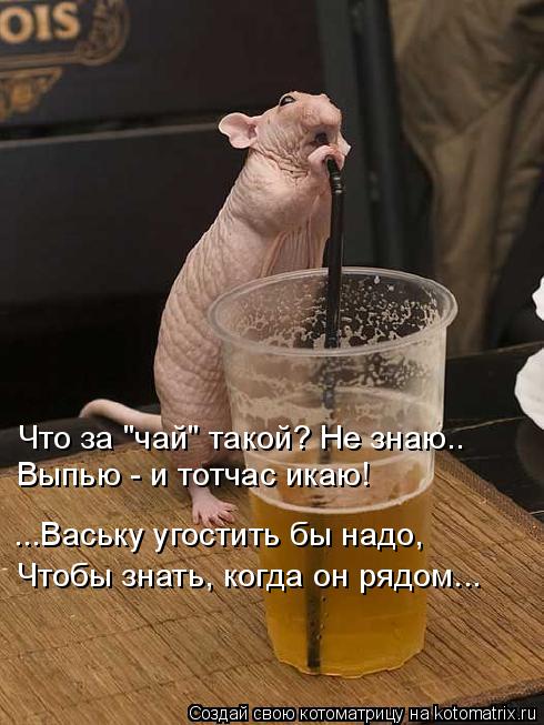 Что за "чай" такой? Не знаю.. Выпью - и тотчас икаю! ...Ваську угостить бы надо, Чтобы знать, когда ... Котоматрица: Что за "чай" такой? Не знаю.. Выпью - и тотчас икаю! ...Ваську угостить бы надо, Чтобы знать, когда он рядом...